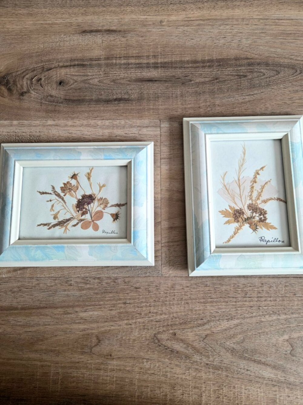 Vintage set of 2 handmade pressed dry flowers framed artworks. Botanical art.